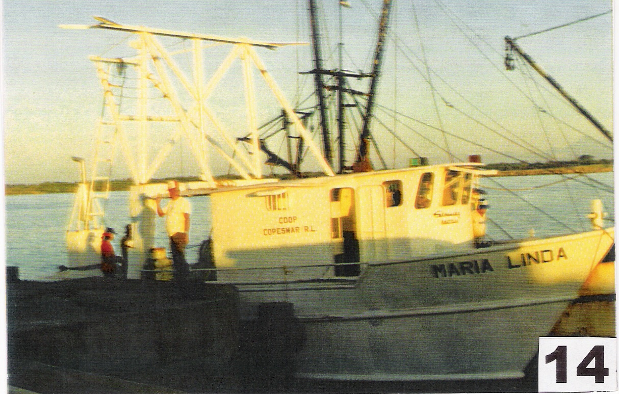 Maria Linda Camaronero